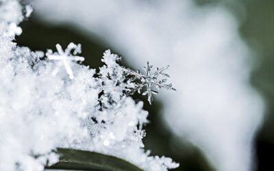 A Beautiful Snowflake